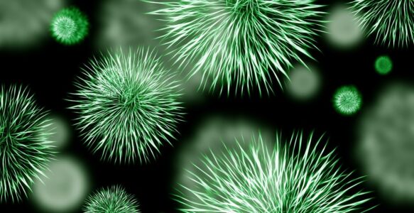 24. Hastalığın artık beyinde mikroskopla görüntülenebilmesinden dolayı hastanın hastalığı yok sayamaması