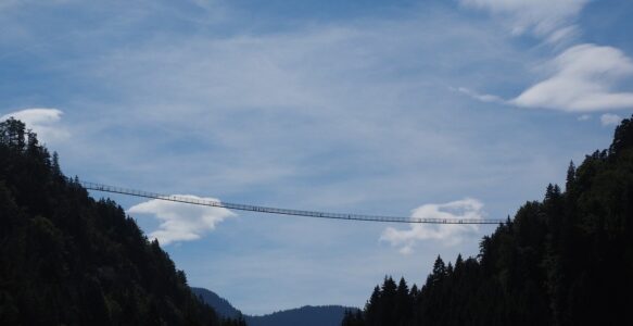 2. Bağlantı bozukluğunun getirisi ise çevresel ilişki bozukluğu