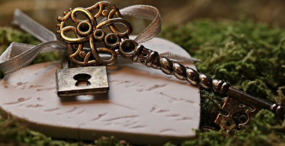 15. Her tür ilişki bağımlılığı: özellikle de efendi köle yapısı